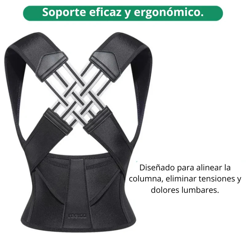 OrtoGuard